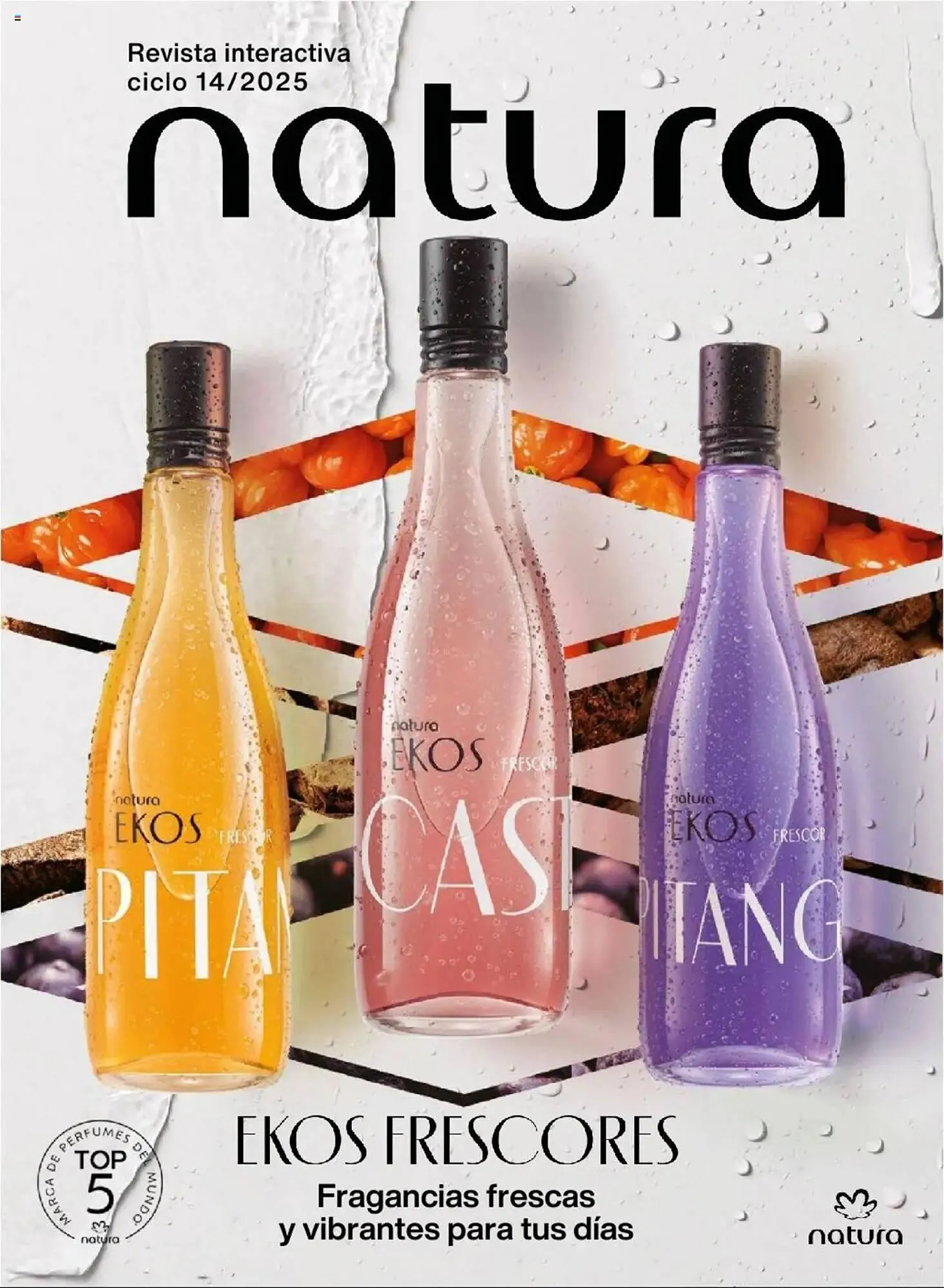 Catálogo Natura - 1