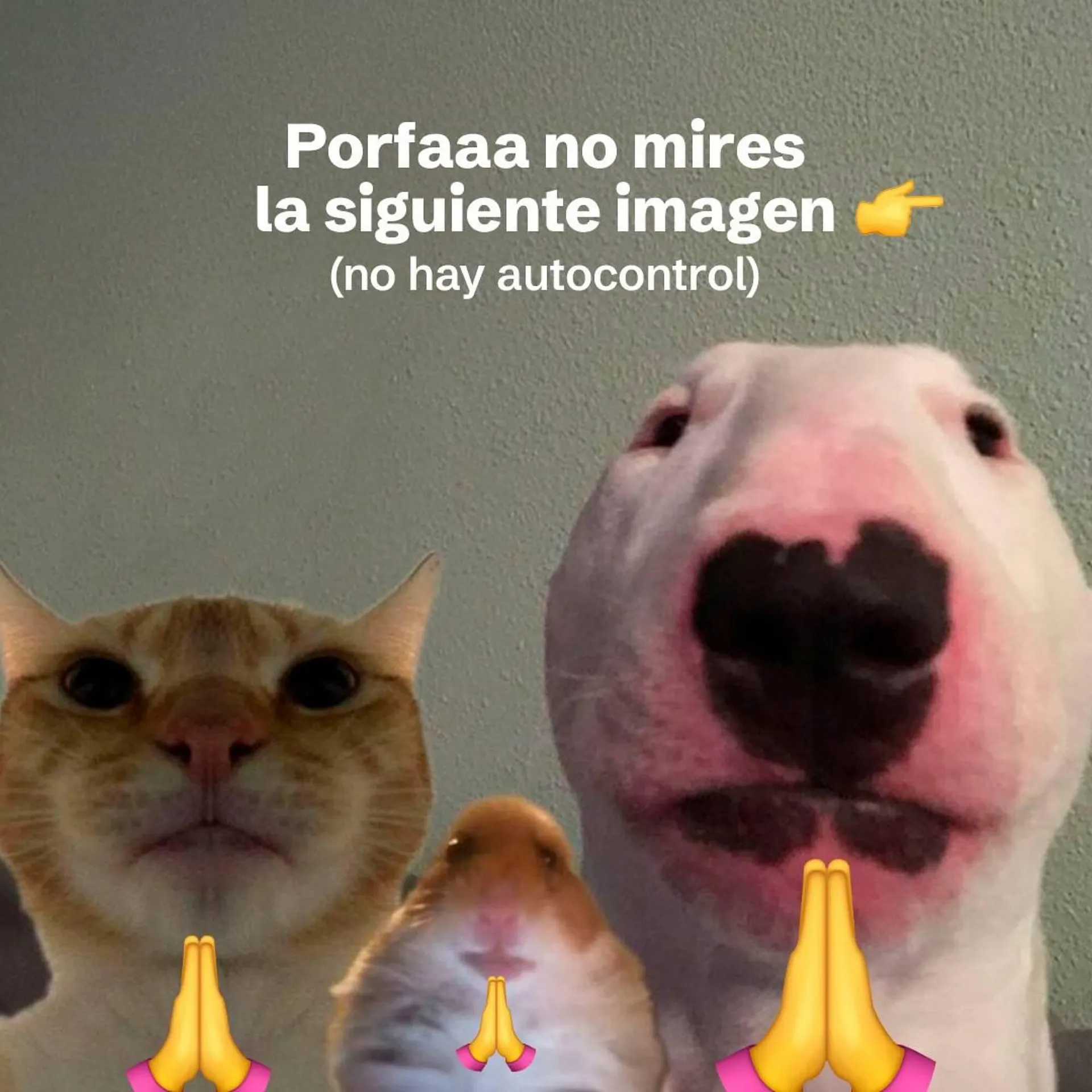 Catalogo de Catálogo Tambo 26 de noviembre al 3 de diciembre 2025 - Pag 7