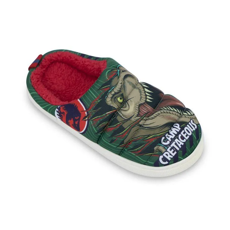 Pantufla 2JP0290