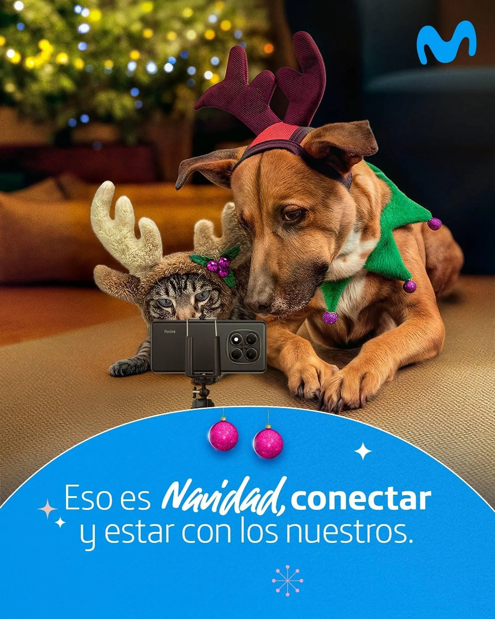 Catalogo de Catálogo Movistar 25 de diciembre al 31 de diciembre 2025 - Pag 2