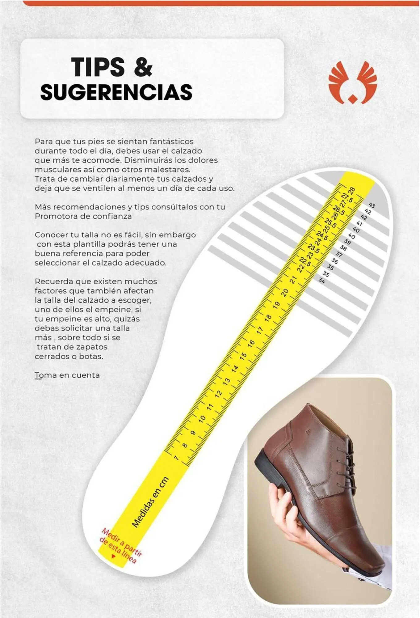 Catalogo de Catálogo Sokso 23 de setiembre al 10 de noviembre 2024 - Pag 85