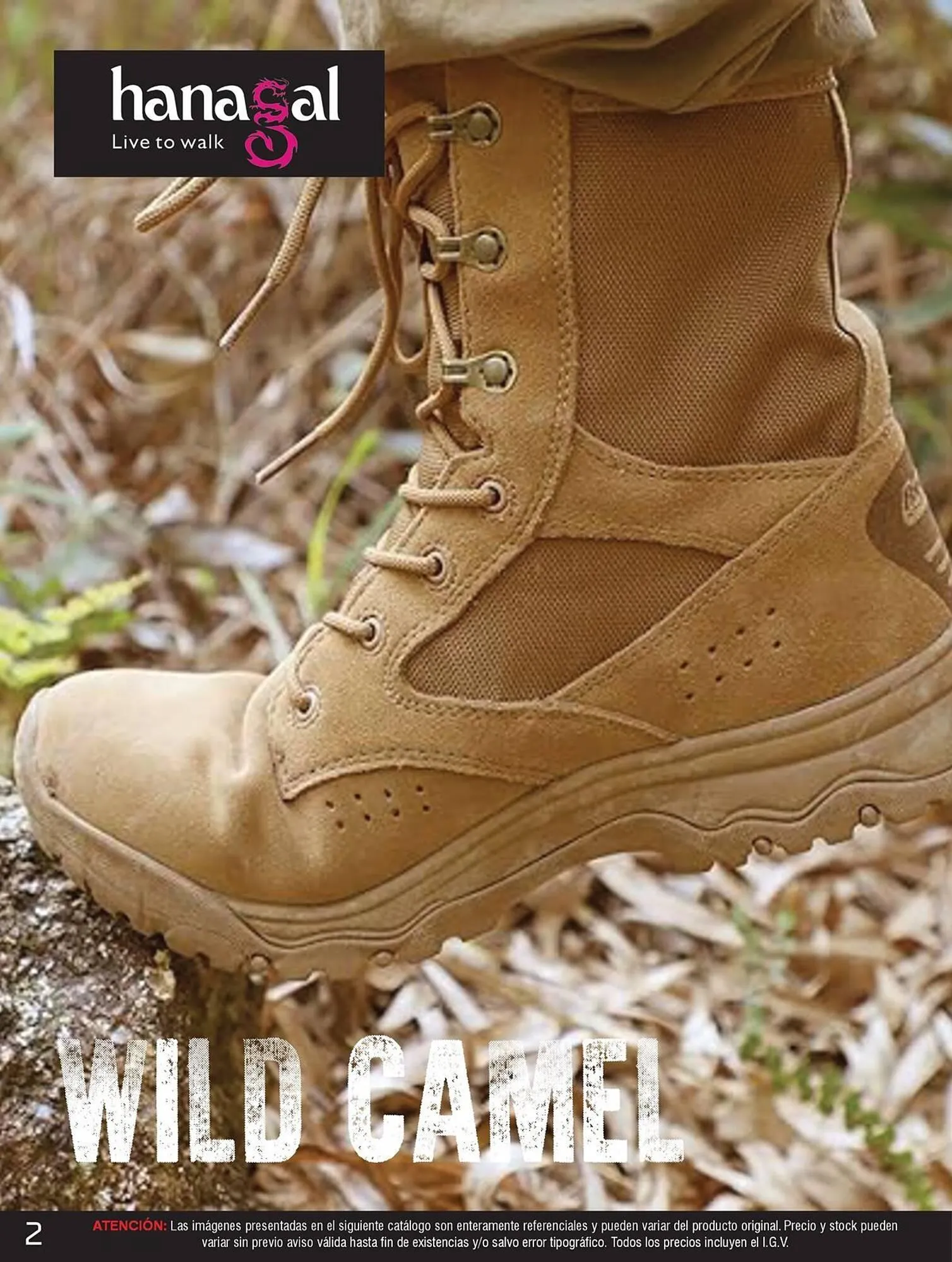 Catalogo de Catálogo Armaq 30 de octubre al 31 de diciembre 2024 - Pag 2