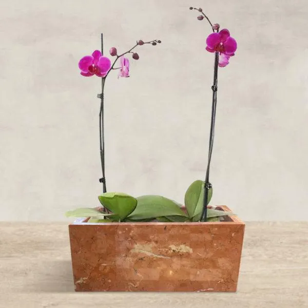 Macetero de Mármol Doble Rojo Alicante