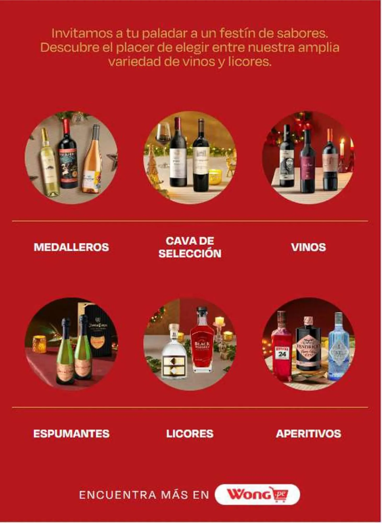 Catalogo de Catálogo Wong 5 de diciembre al 2 de enero 2024 - Pag 2
