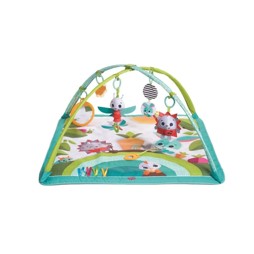 GIMNASIO MEADOW DAYS SUNNY DAY