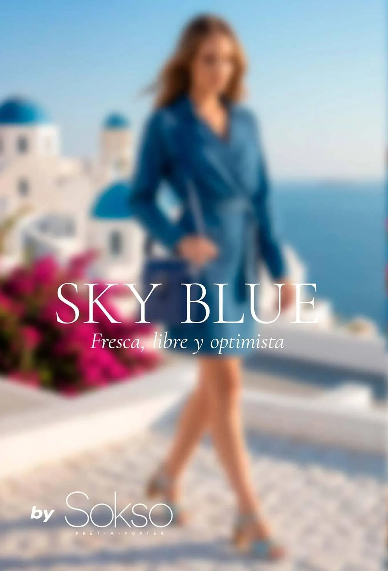 Catalogo de Catálogo Sokso 5 de enero al 1 de febrero 2026 - Pag 4