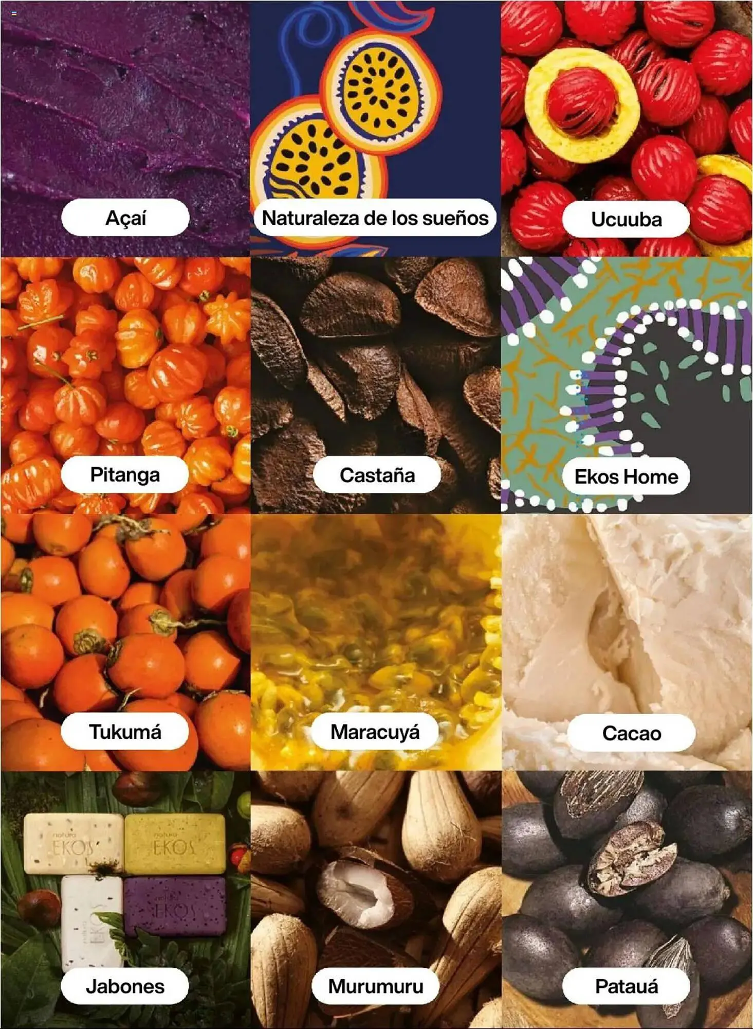 Catalogo de Catálogo Natura 22 de julio al 20 de setiembre 2025 - Pag 95