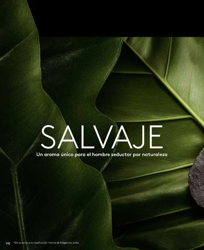 Catalogo de Nuevo Perfume  7 de junio al 30 de junio 2024 - Pag 150