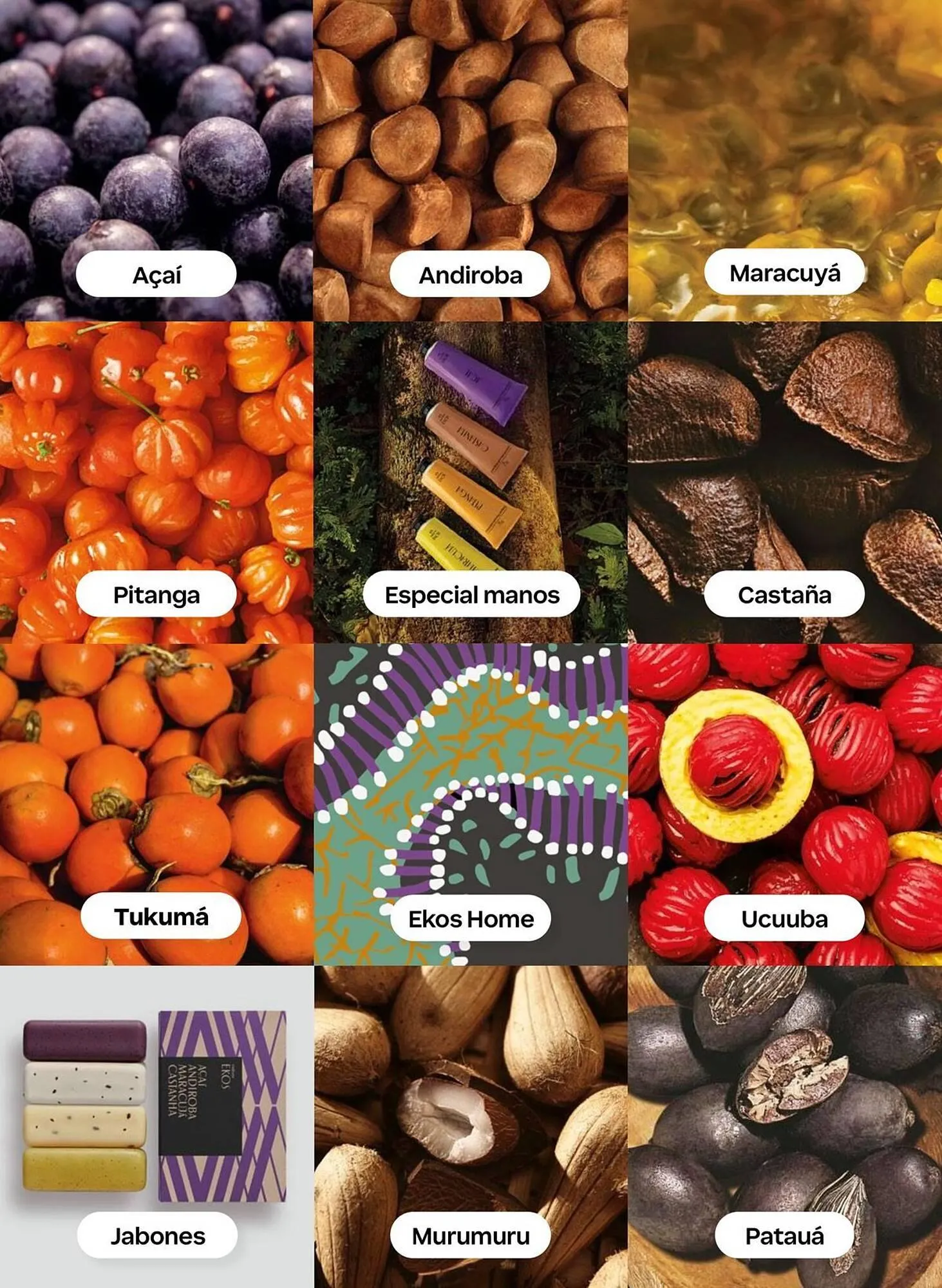 Catalogo de Catálogo Natura 1 de febrero al 28 de febrero 2026 - Pag 114