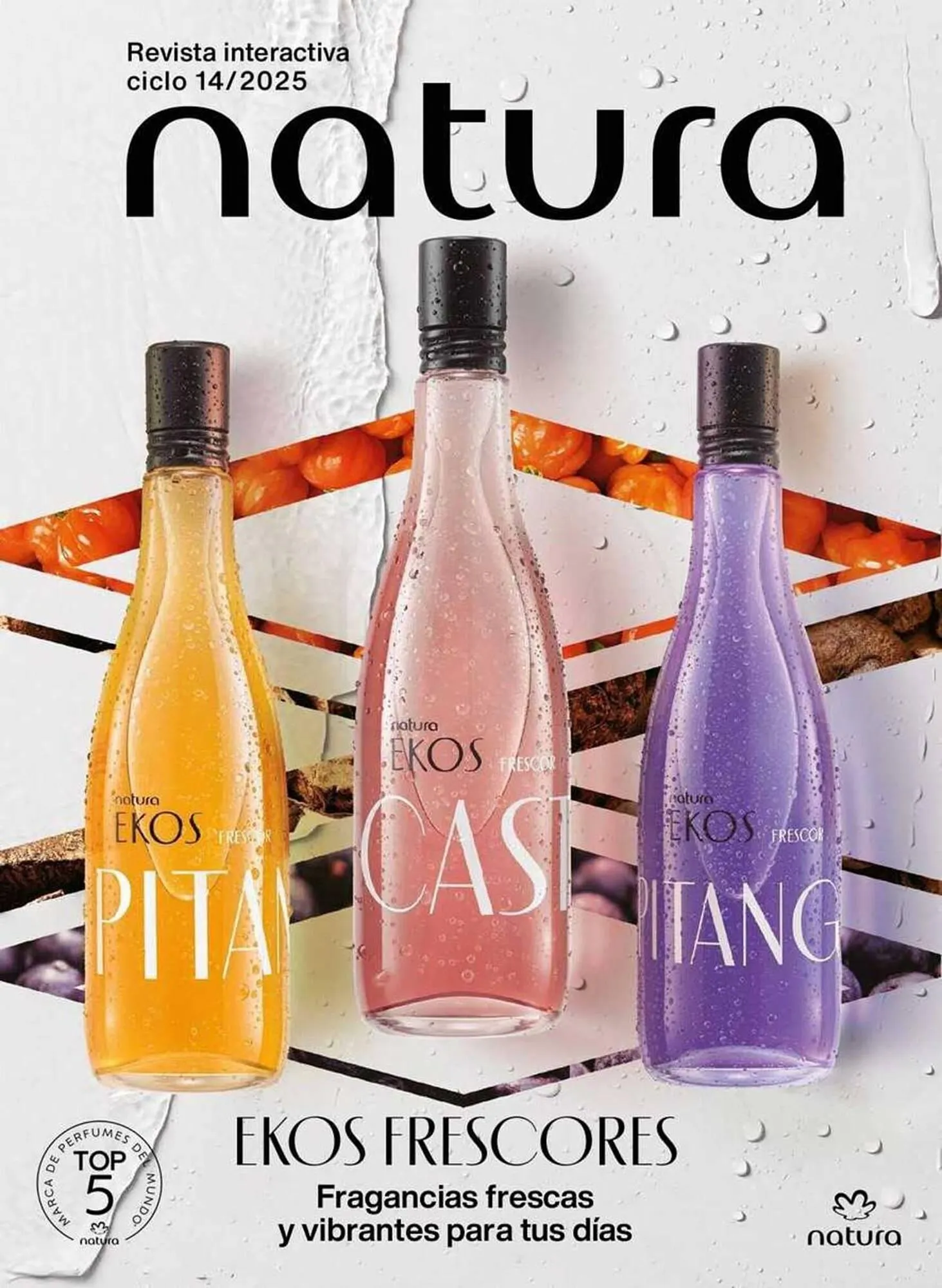 Catálogo Natura - 1