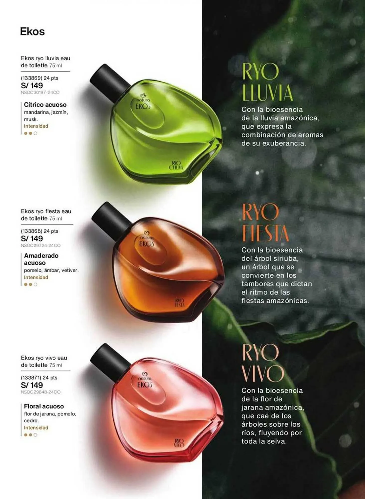 Catalogo de Catálogo Natura 1 de octubre al 31 de octubre 2025 - Pag 31