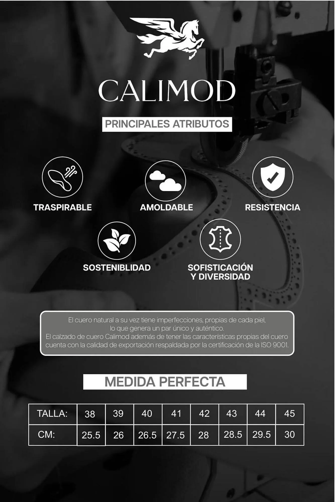 Catalogo de Catálogo Sokso 11 de noviembre al 5 de enero 2025 - Pag 43