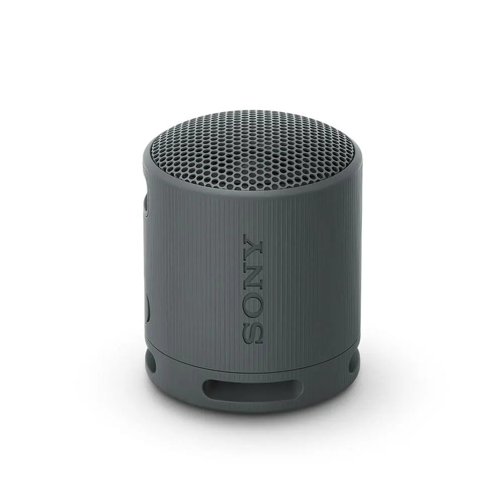 Sony Srs-xb100/bcla Parlante Negro Bluet