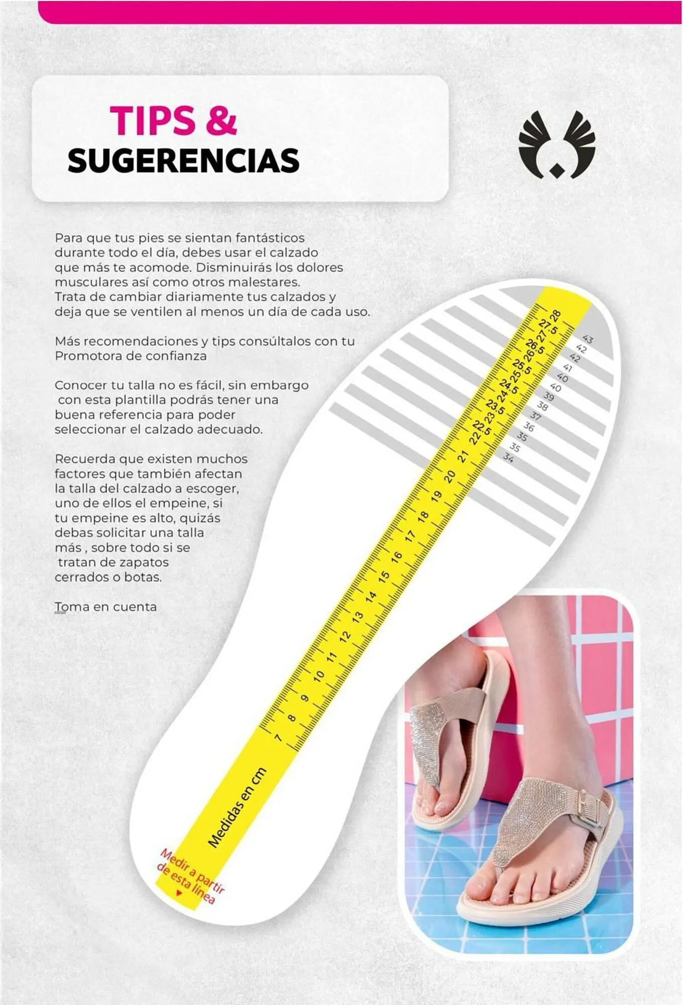 Catalogo de Catálogo Sokso 1 de diciembre al 4 de enero 2026 - Pag 81