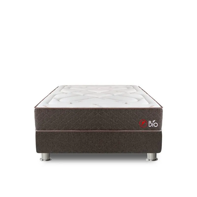 Cama Americana Bio Queen + Colchón + 2 Almohadas + Protector