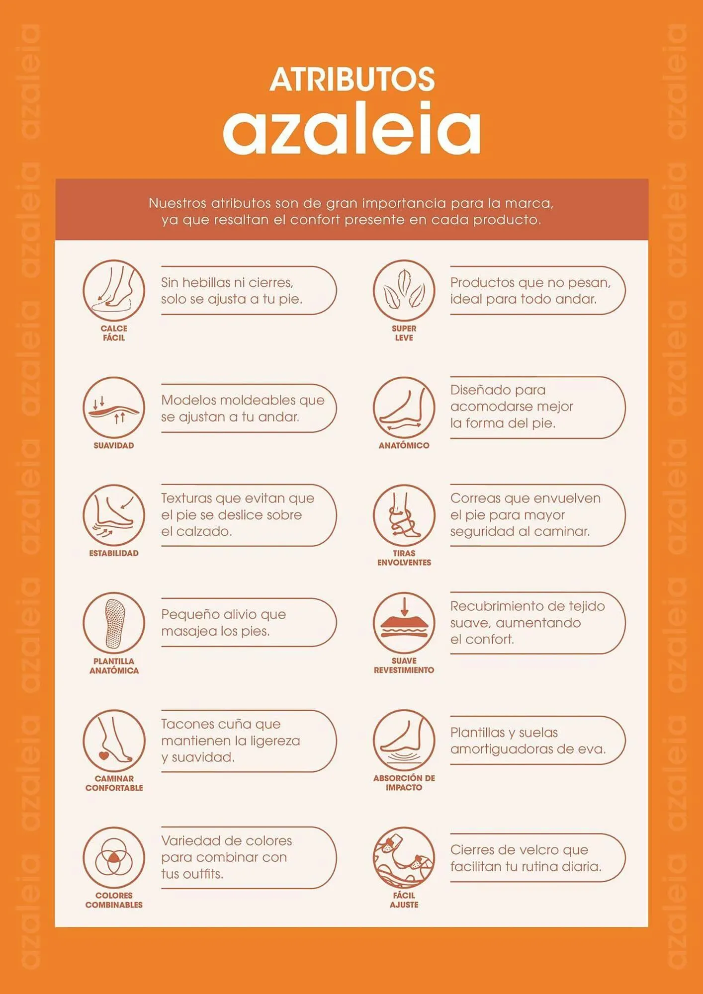 Catalogo de Catálogo Azaleia 31 de octubre al 31 de enero 2025 - Pag 2