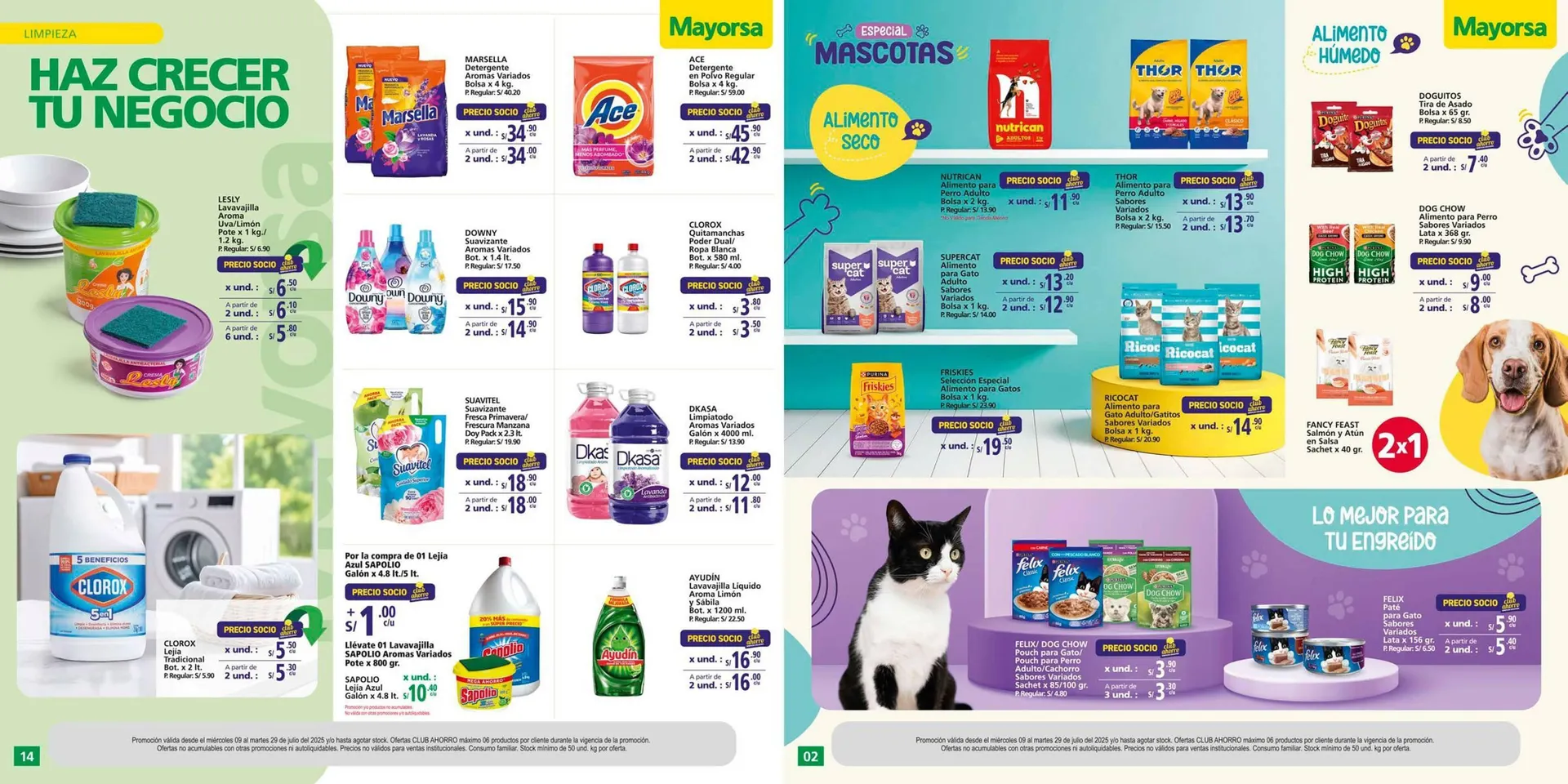 Catalogo de Catálogo Mayorsa 9 de julio al 29 de julio 2025 - Pag 8