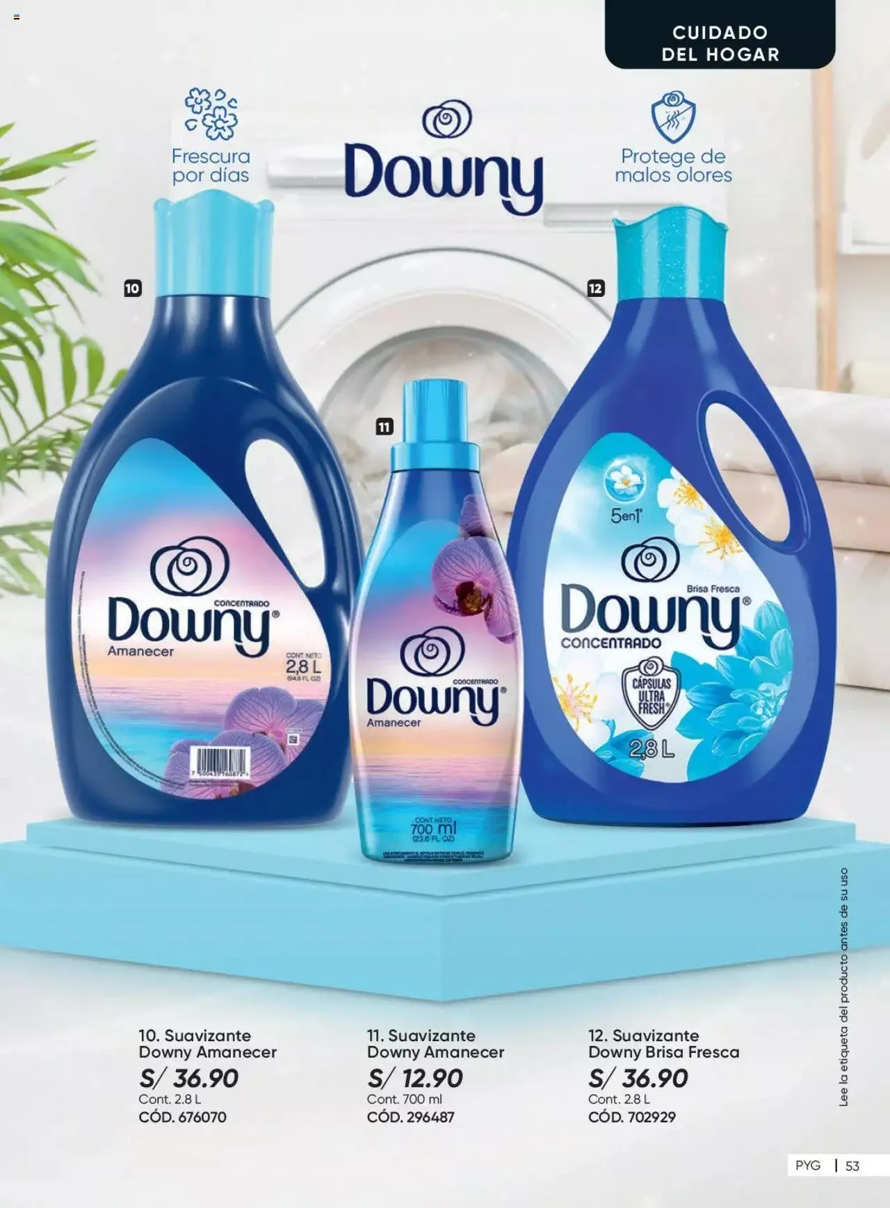 Catalogo de Azzorti - Campaña 10 Plus 10 de junio al 31 de diciembre 2024 - Pag 53