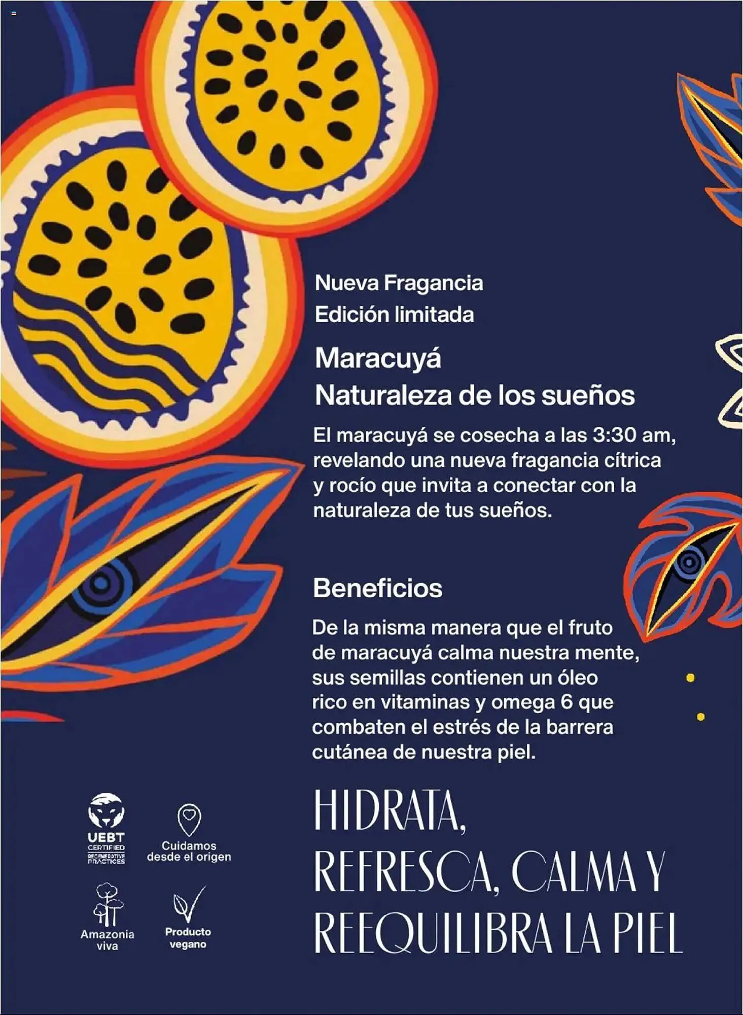 Catalogo de Catálogo Natura 22 de julio al 20 de setiembre 2025 - Pag 96