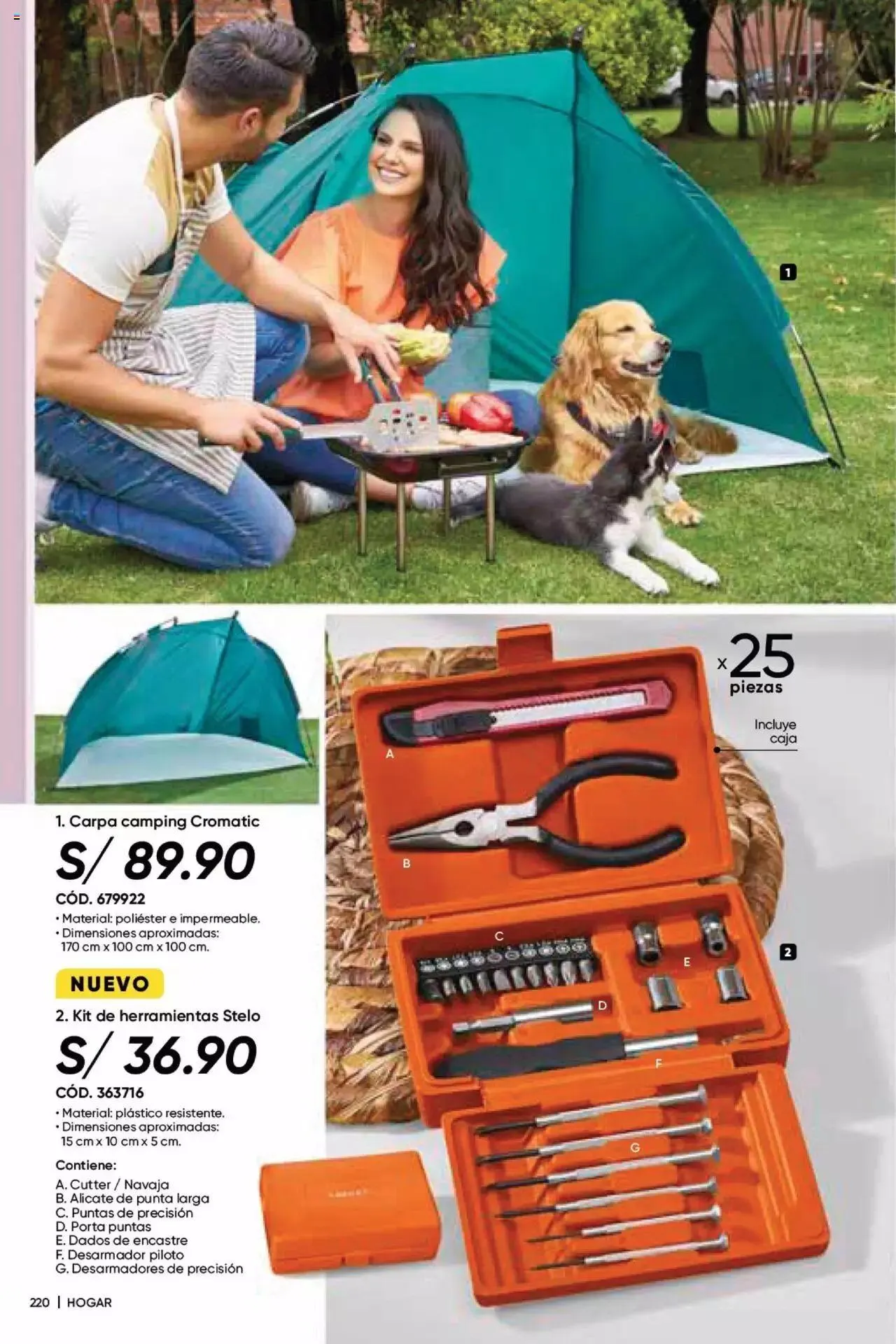 Catalogo de Azzorti - Campaña 07 29 de marzo al 31 de diciembre 2023 - Pag 226