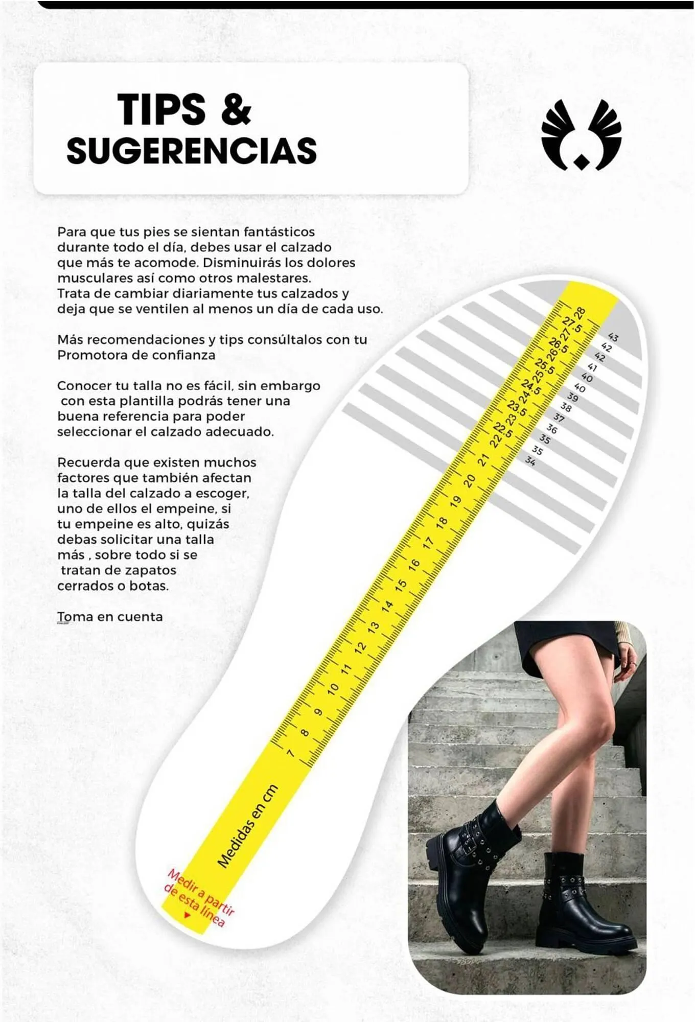 Catalogo de Catálogo Sokso 6 de abril al 3 de mayo 2026 - Pag 87