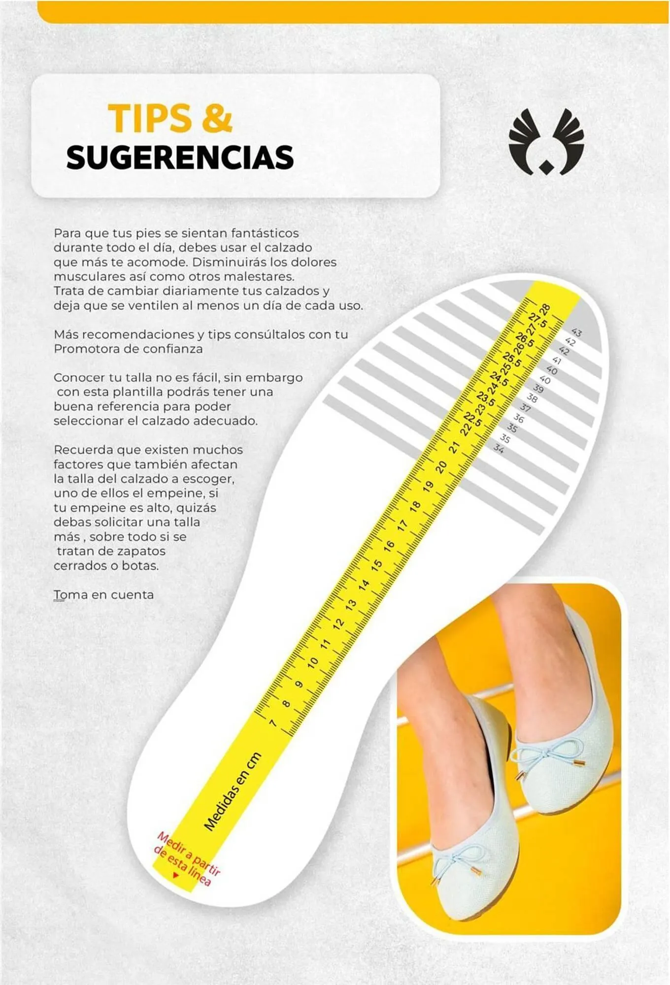 Catalogo de Catálogo Sokso 5 de enero al 1 de febrero 2026 - Pag 81