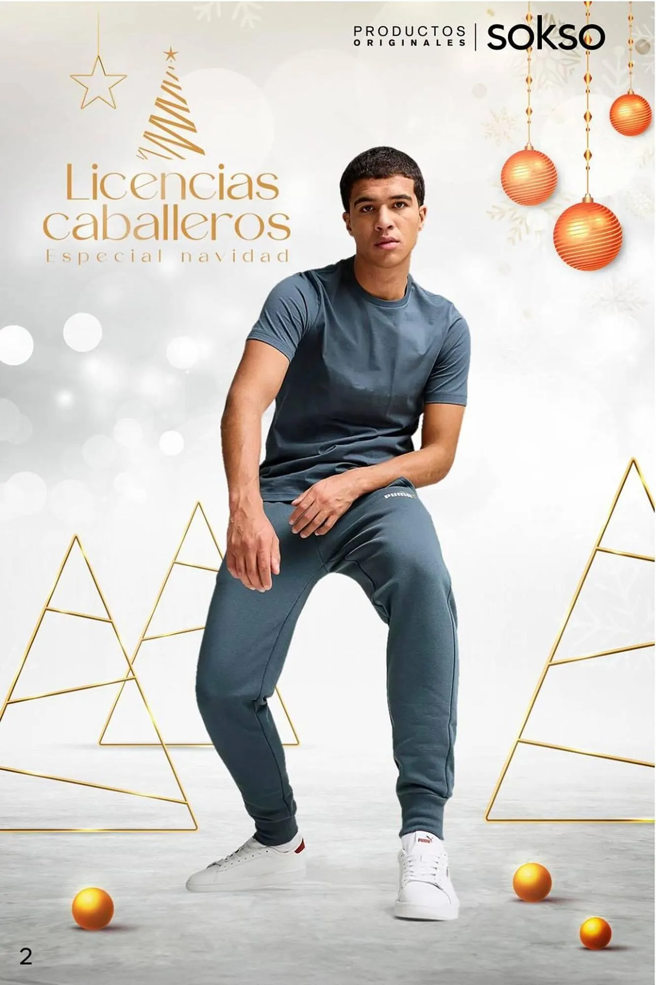 Catalogo de Catálogo Sokso 2 de diciembre al 29 de diciembre 2024 - Pag 2