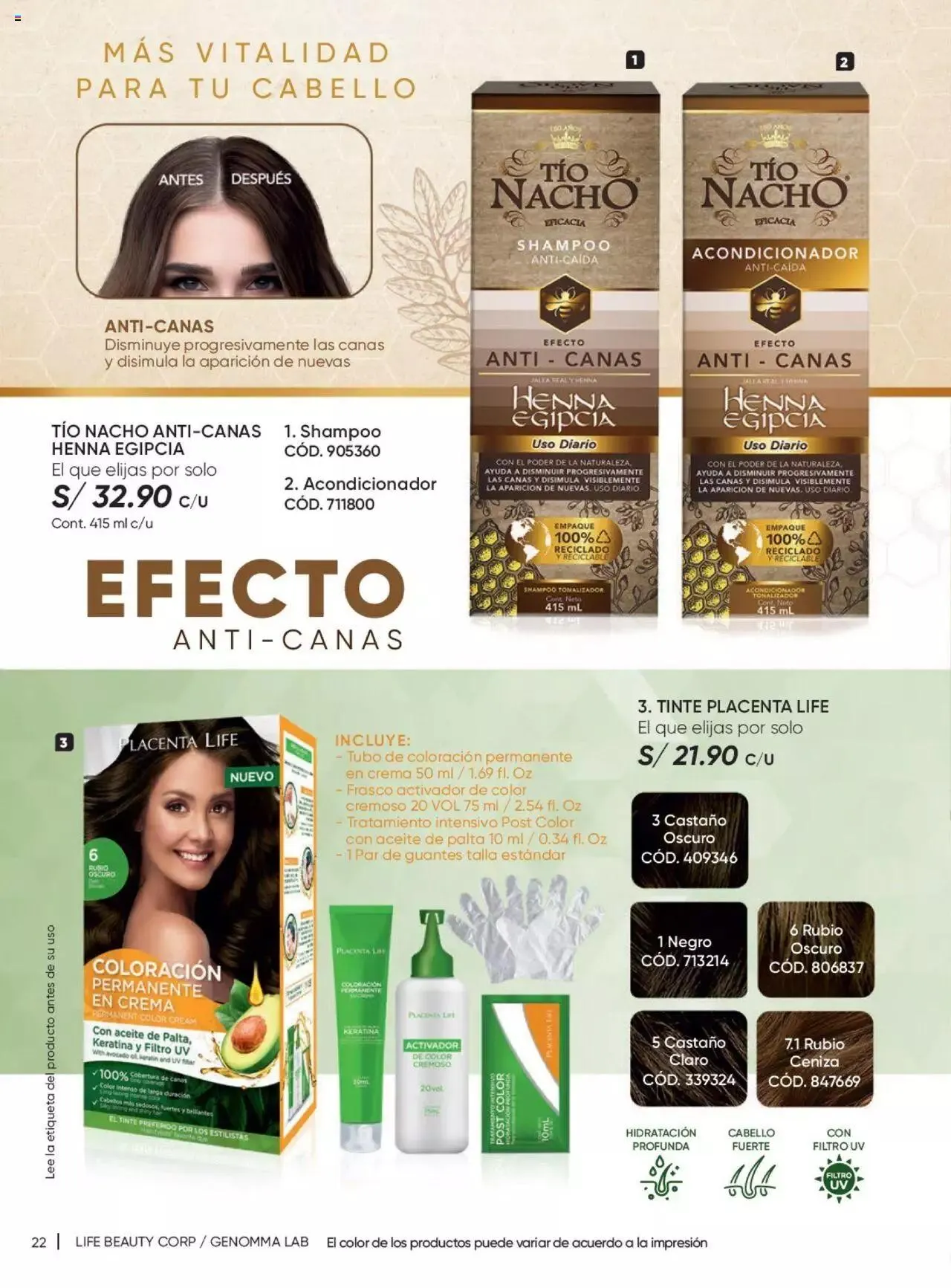 Catalogo de Azzorti - Campaña 11 Plus 15 de junio al 31 de diciembre 2024 - Pag 22