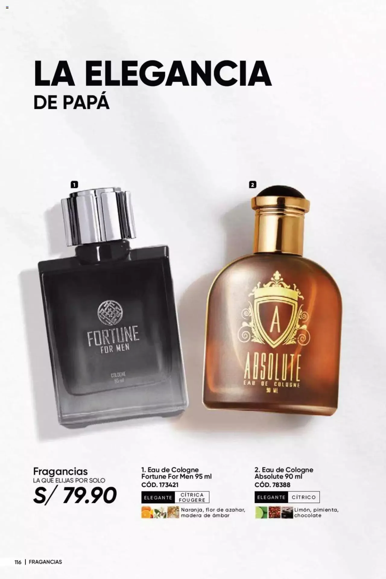 Catalogo de Azzorti - Campaña 09 10 de mayo al 31 de diciembre 2023 - Pag 116