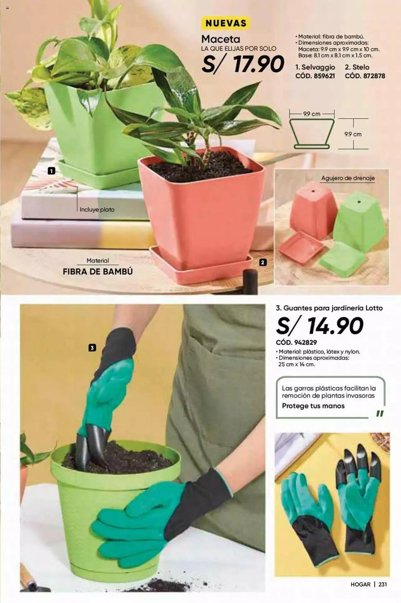 Catalogo de Azzorti - Campaña C5 / 2023 23 de febrero al 31 de diciembre 2023 - Pag 245