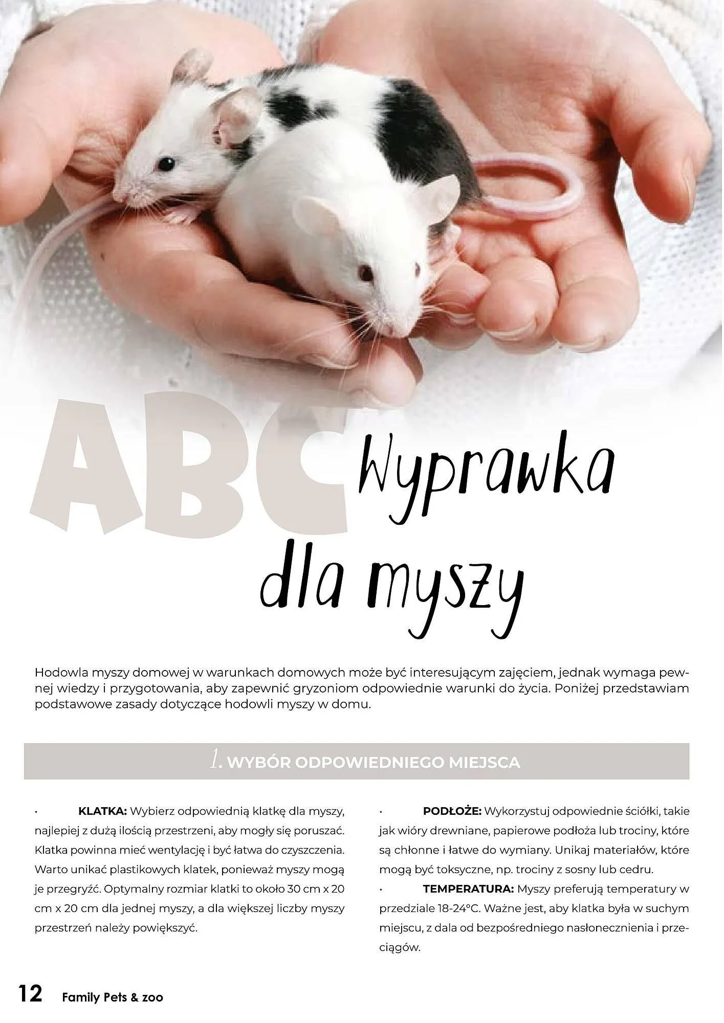 Gazetka Zoo Karina gazetka od 1 stycznia do 31 stycznia 2025 - Strona 12