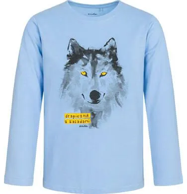 T-shirt z długim rękawem dla chłopca, z wilkiem, niebieski 9-13 lat