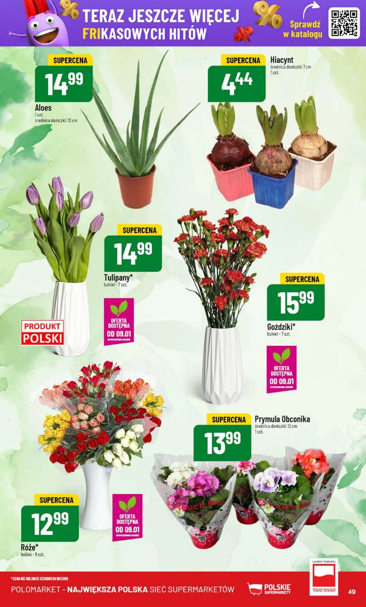 Gazetka Polomarket Aktualna gazetka od 8 stycznia do 14 stycznia 2025 - Strona 49