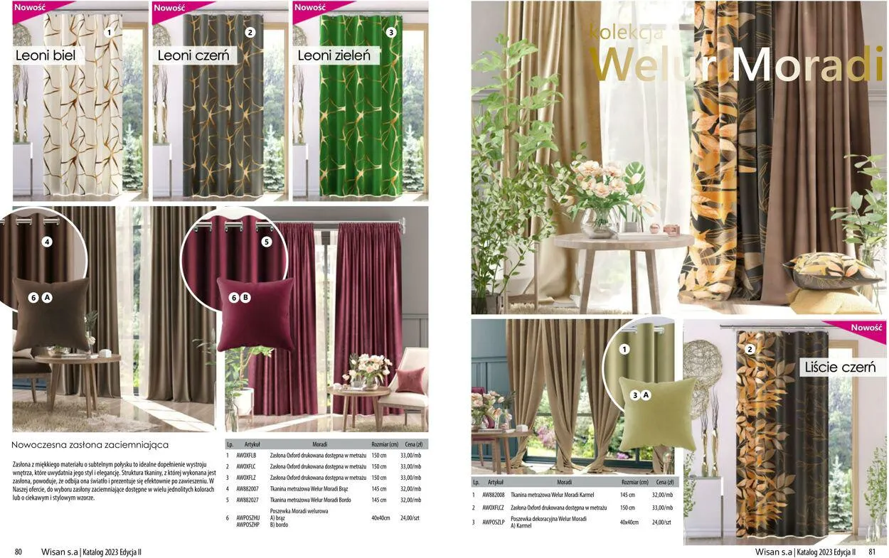 Gazetka Wisan od 1 października do 31 grudnia 2023 - Strona 41