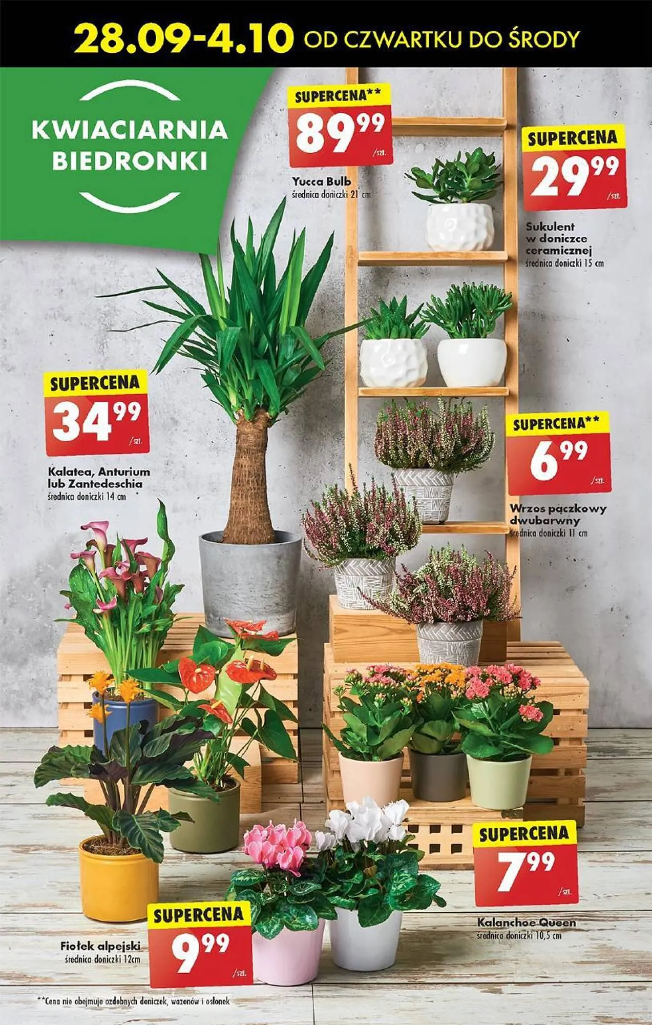 Gazetka Biedronka gazetka od 28 września do 4 października 2023 - Strona 25