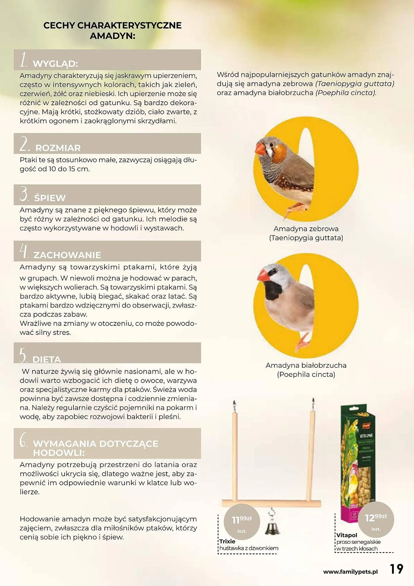 Gazetka Zoo Karina gazetka od 1 stycznia do 31 stycznia 2025 - Strona 19