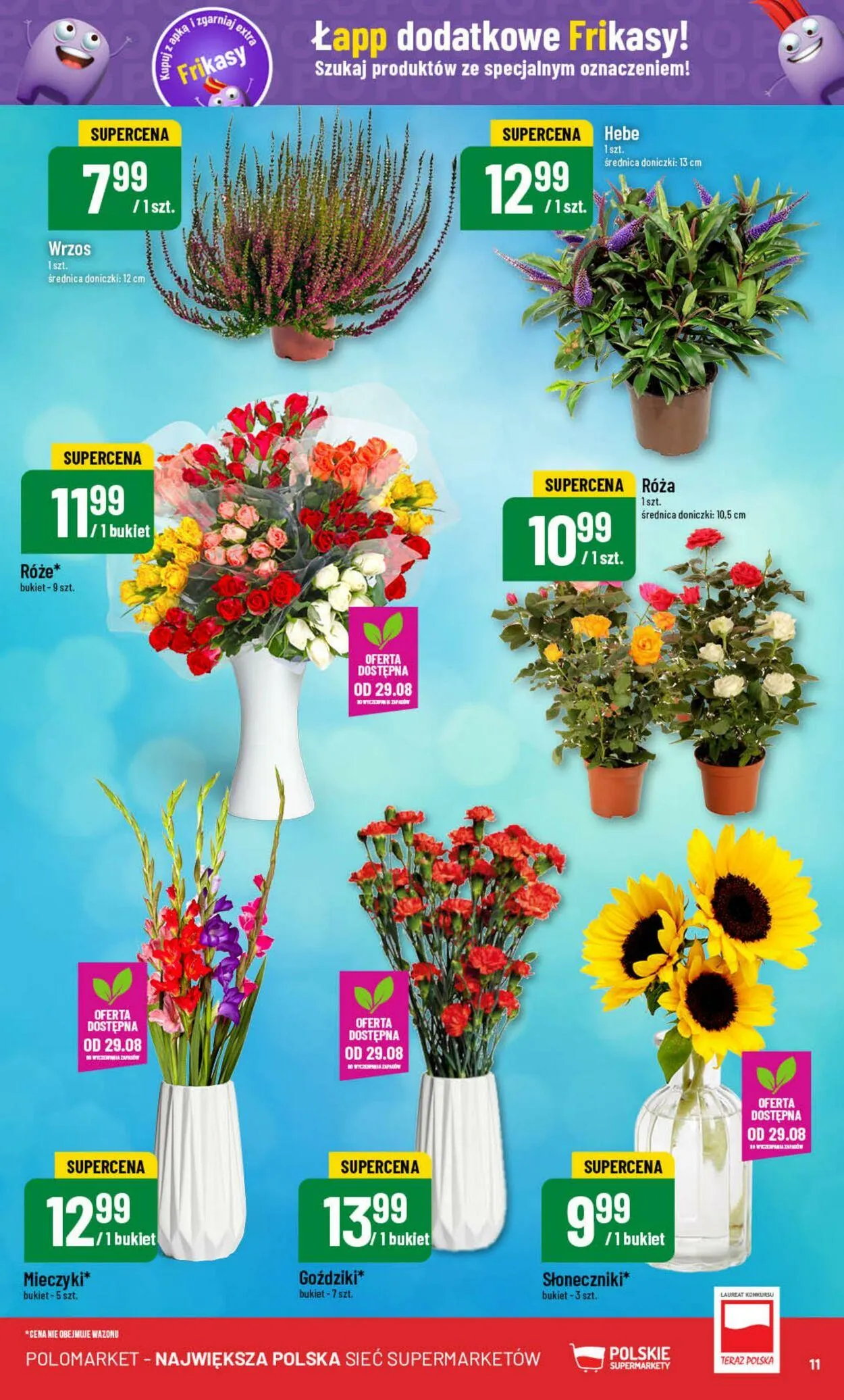 Gazetka Polomarket Aktualna gazetka od 28 sierpnia do 3 września 2024 - Strona 11