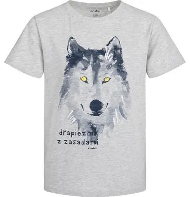 T-shirt z krótkim rękawem dla chłopca, z wilkiem, szary 9-13 lat