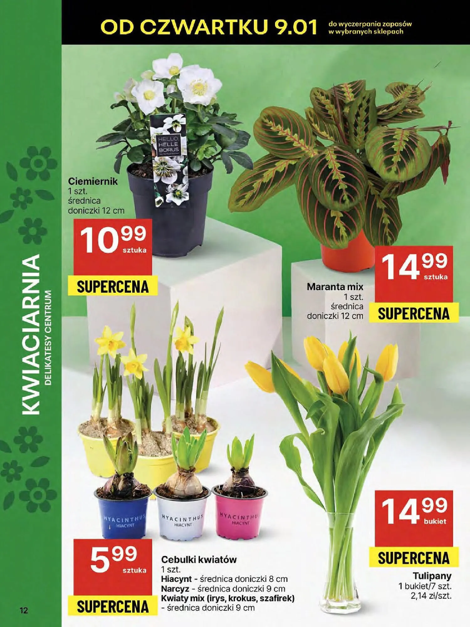 Gazetka Delikatesy Centrum gazetka od 9 stycznia do 15 stycznia 2025 - Strona 12