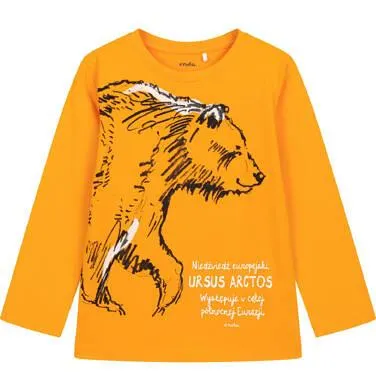 T-shirt z długim rękawem dla chłopca, z niedźwiedziem, żółty 9-13 lat