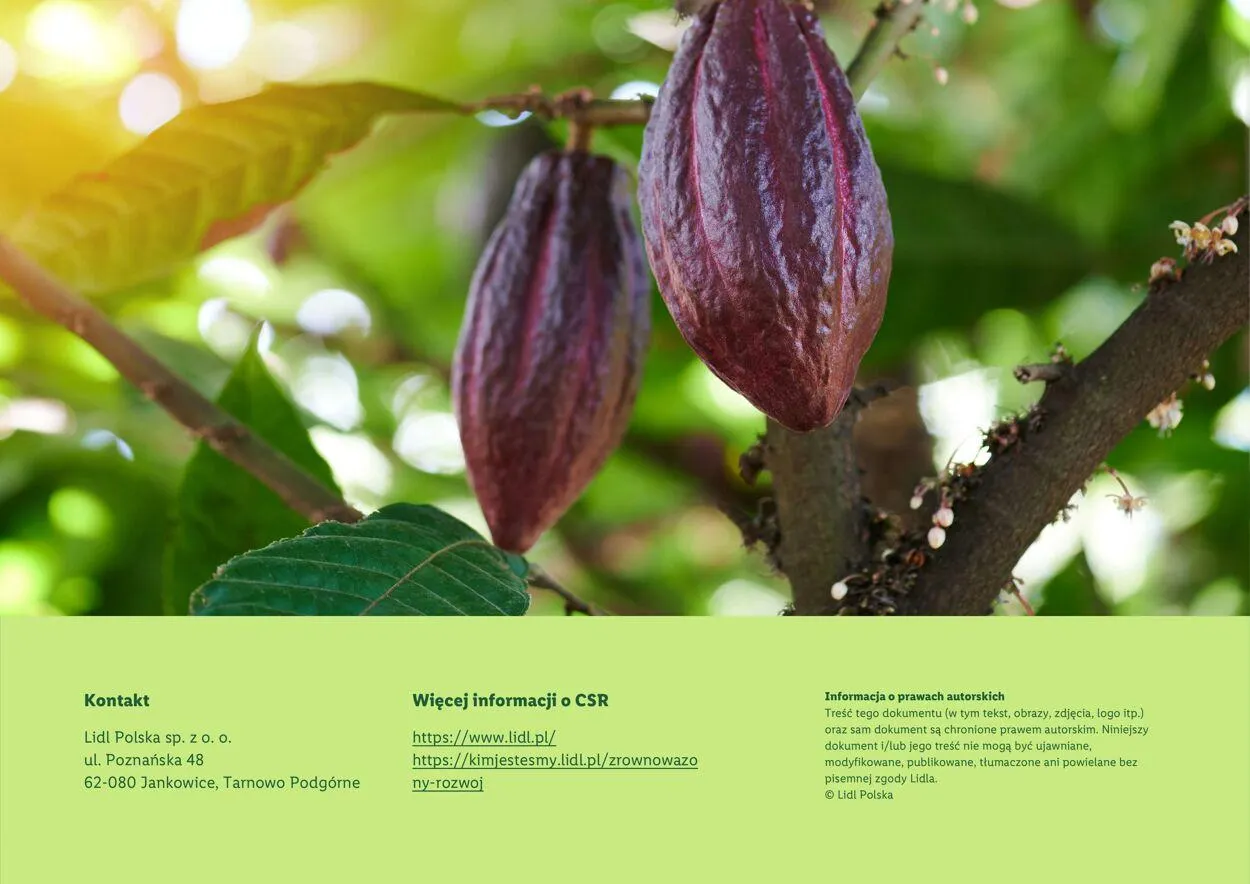 Gazetka LIDL Aktualna gazetka od 22 sierpnia do 1 stycznia 2026 - Strona 26