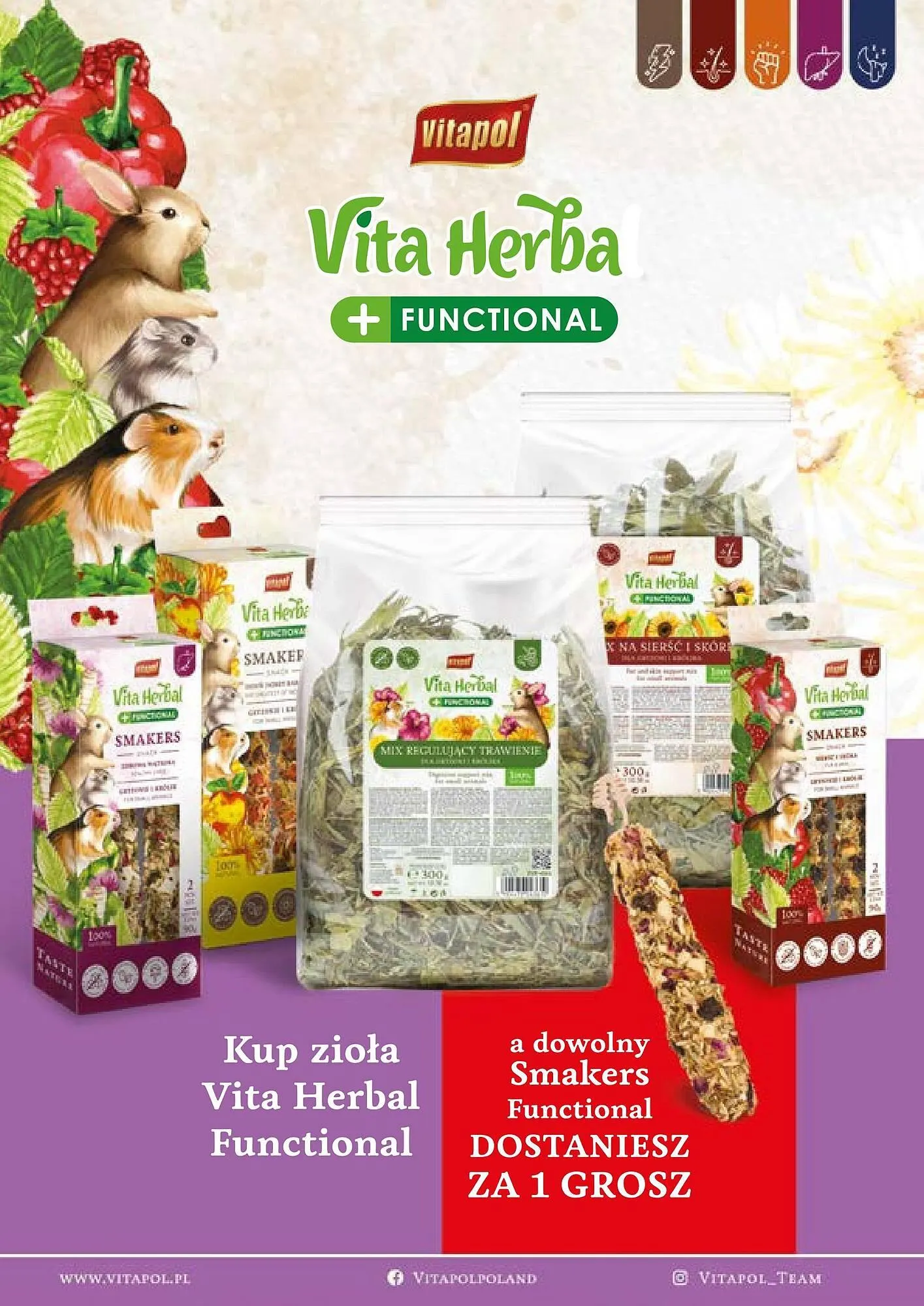 Gazetka Zoo Karina gazetka od 1 stycznia do 31 stycznia 2025 - Strona 14