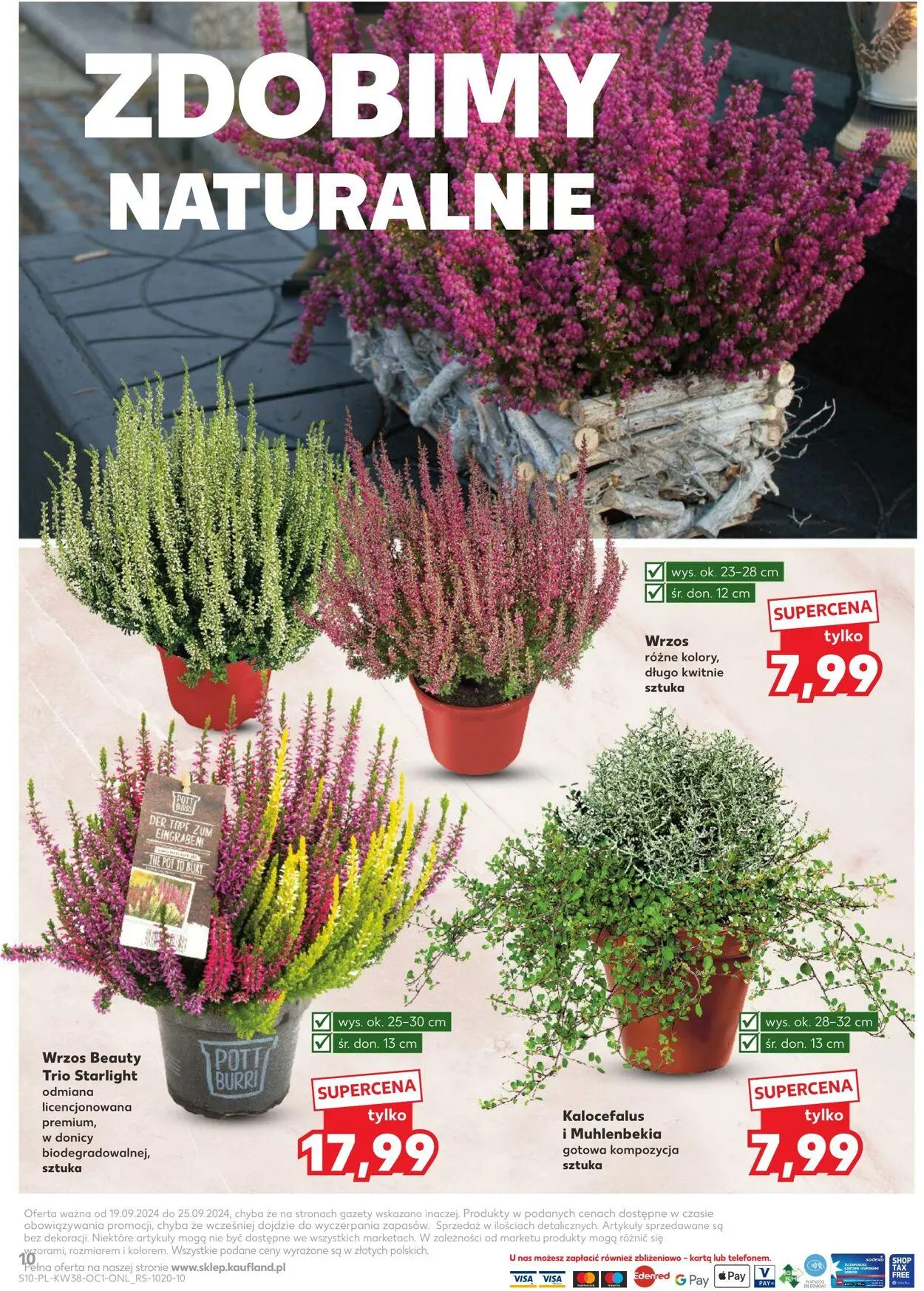 Gazetka Kaufland Aktualna gazetka od 19 września do 6 listopada 2024 - Strona 10