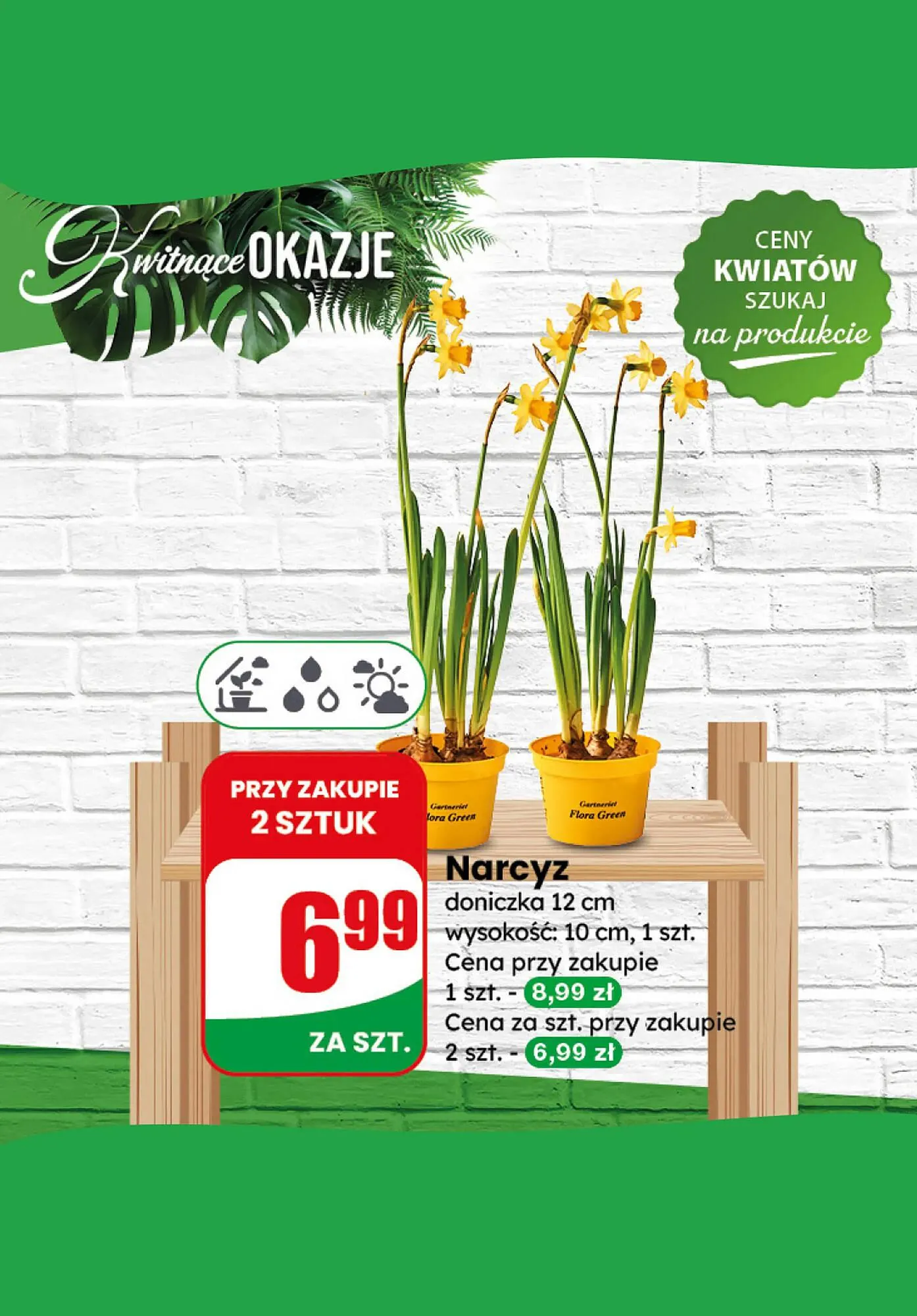 Gazetka Dino gazetka od 31 stycznia do 1 lutego 2025 - Strona 8