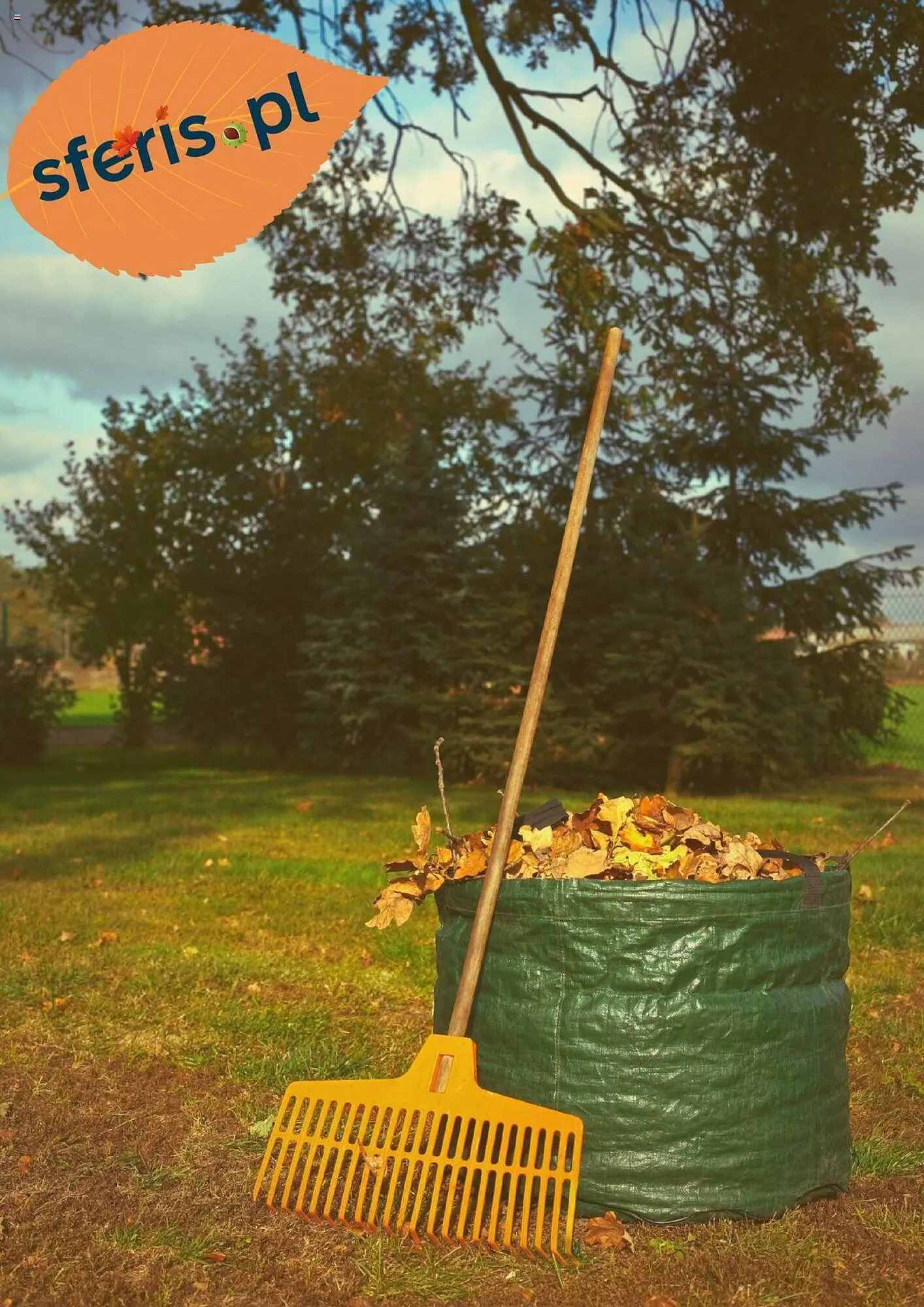 Gazetka Sferis gazetka od 26 września do 19 października 2023 - Strona 1