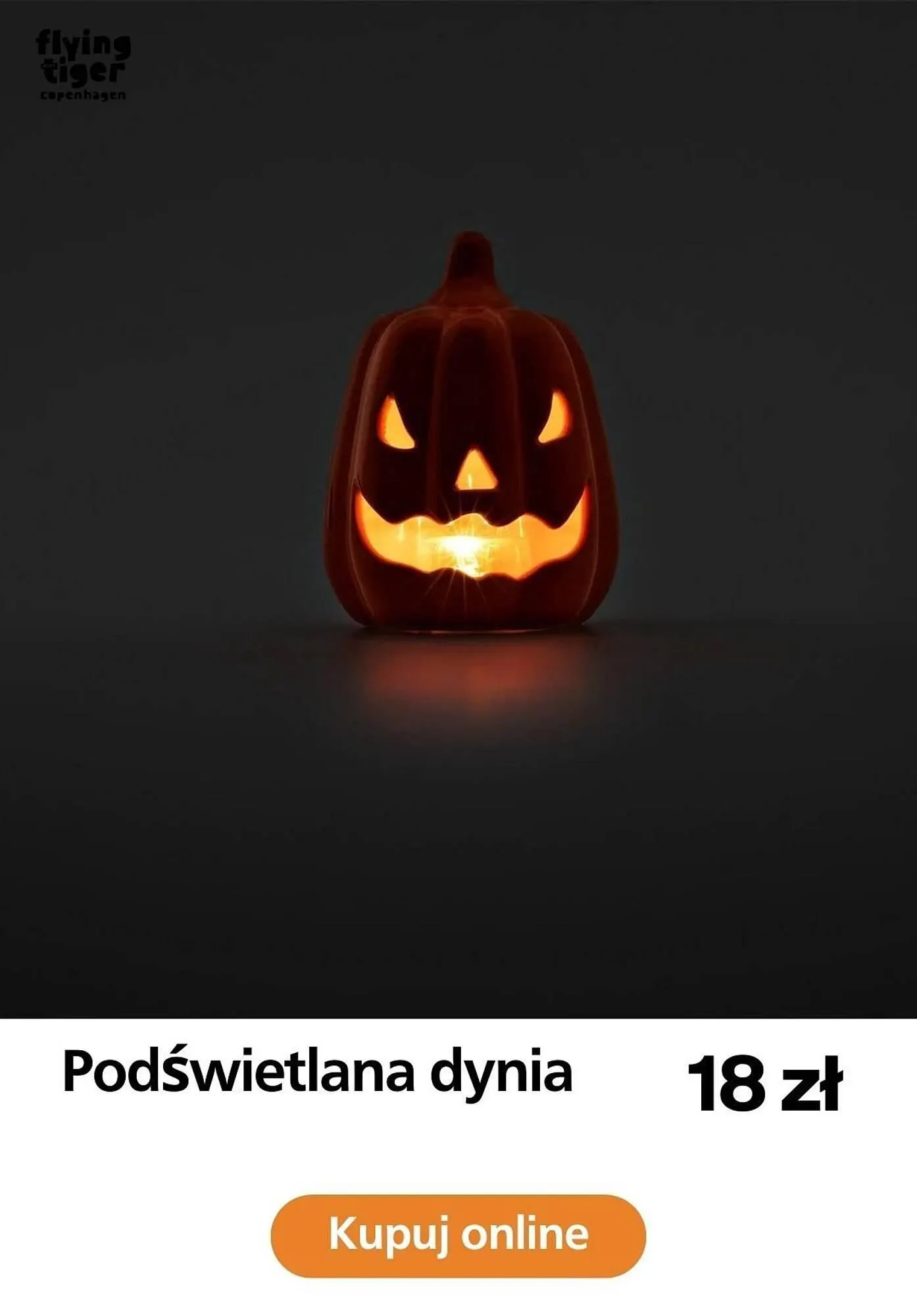 Gazetka Flying Tiger gazetka od 23 października do 31 października 2023 - Strona 6