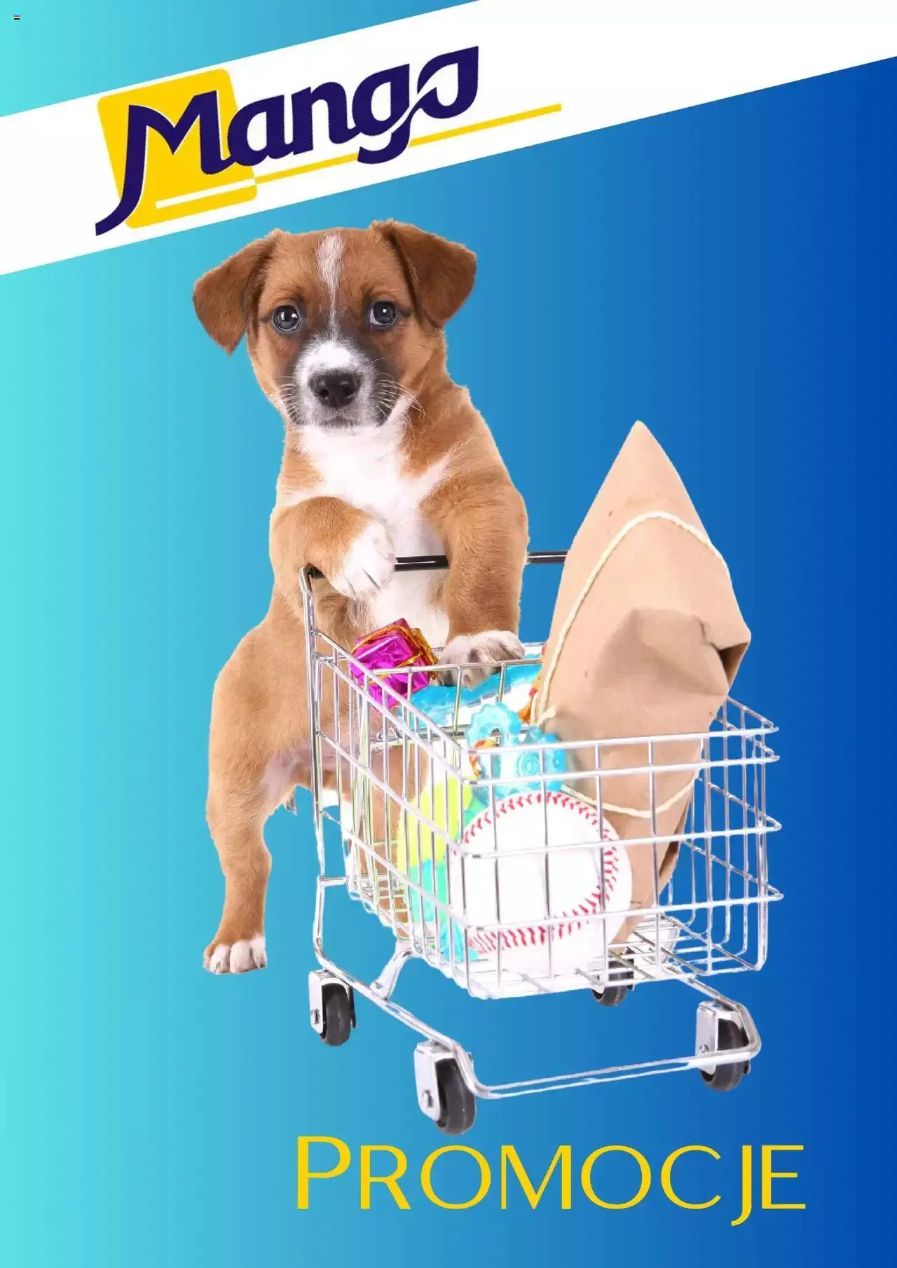 Gazetka Mango Gazetka od 8 sierpnia do 31 grudnia 2023 - Strona 1