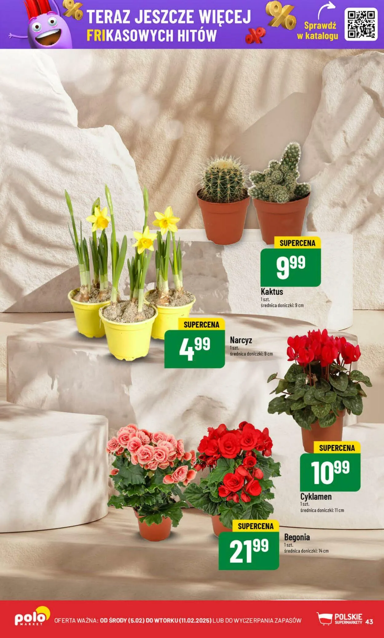 Gazetka Polomarket Aktualna gazetka od 5 lutego do 11 lutego 2025 - Strona 43