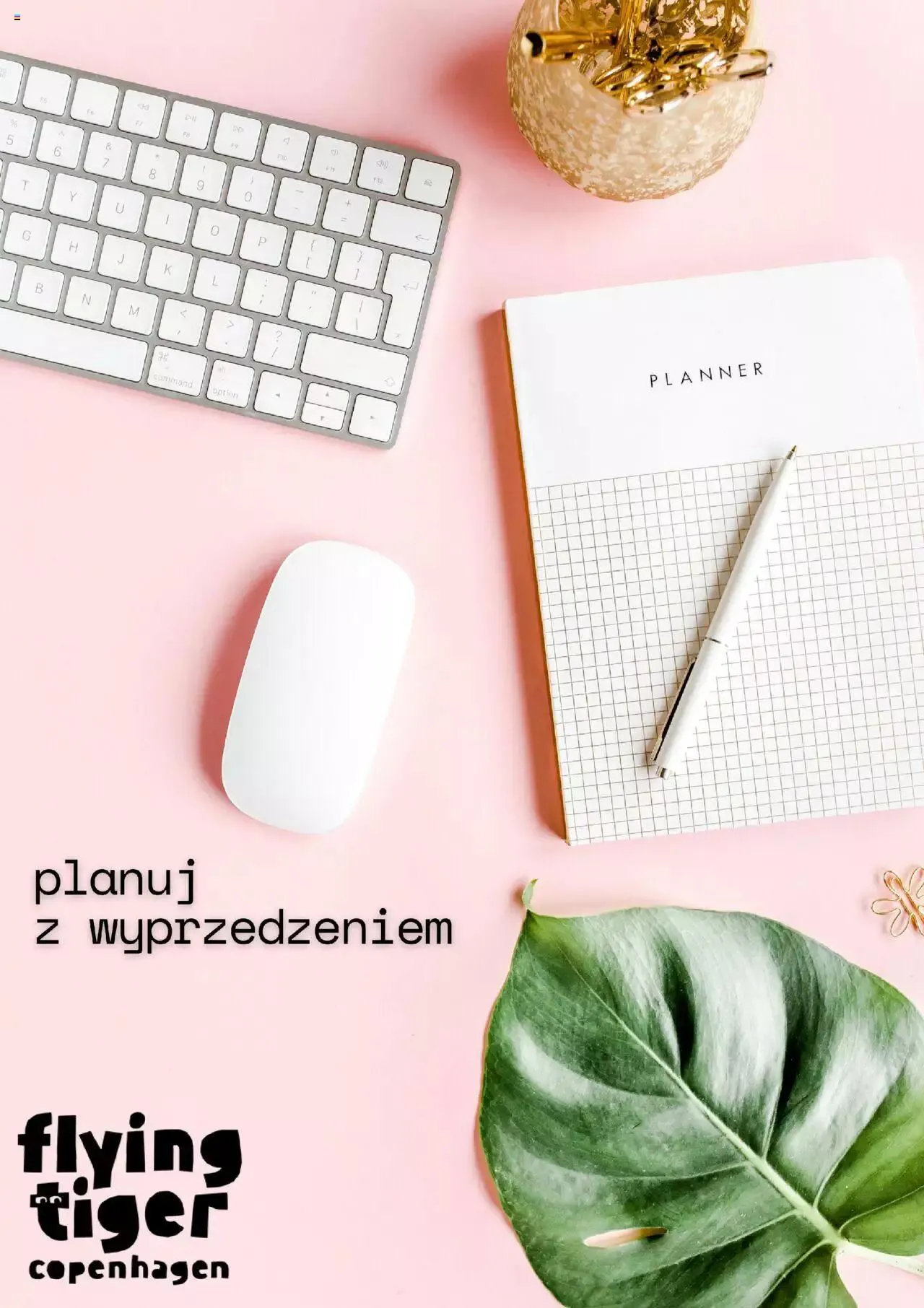 Gazetka Flying Tiger Gazetka od 2 stycznia do 8 stycznia 2024 - Strona 