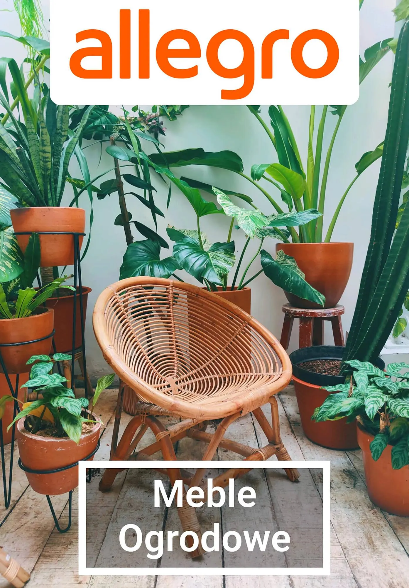 Gazetka Allegro gazetka od 4 kwietnia do 11 kwietnia 2024 - Strona 